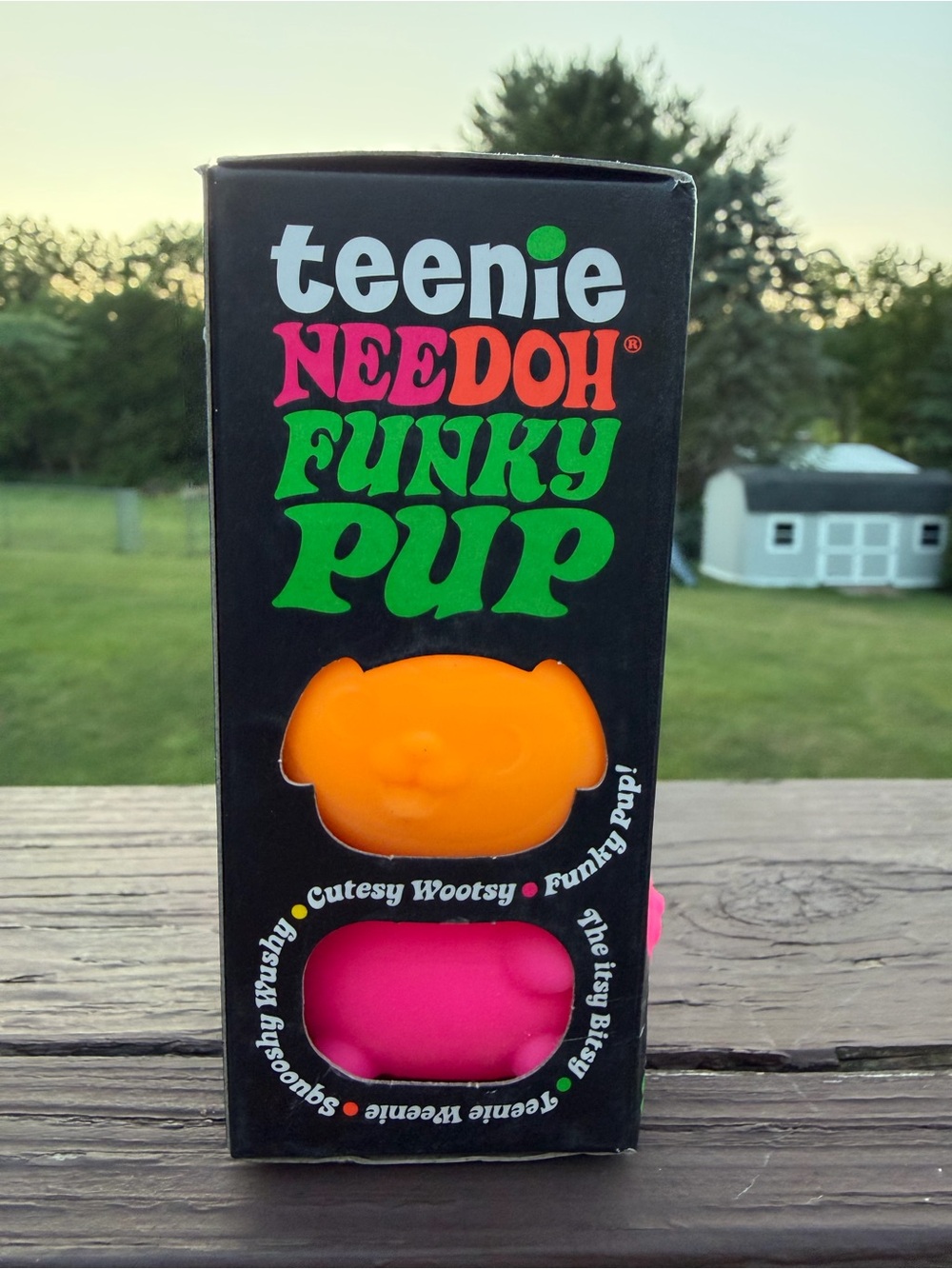 Teenie Needoh Funky Pup **RARE orange pup **